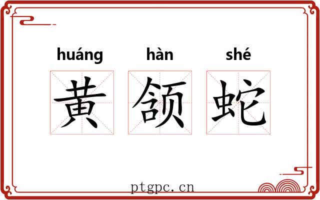 黄颔蛇 黄颔蛇