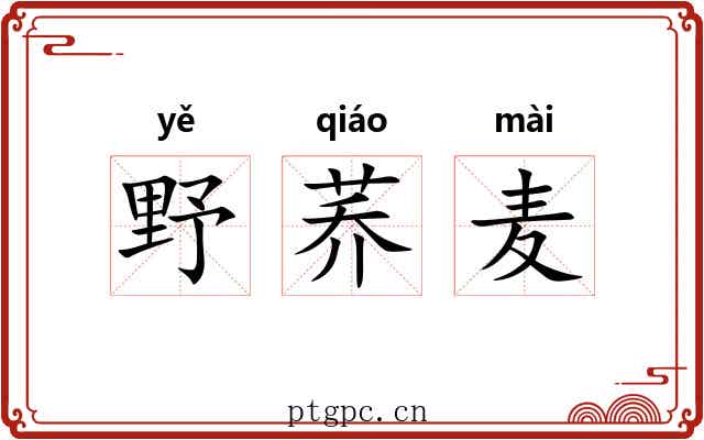 野荞麦