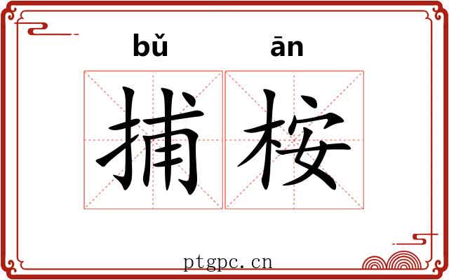 捕桉
