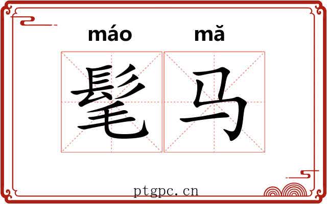 髦马