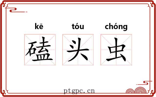 磕头虫