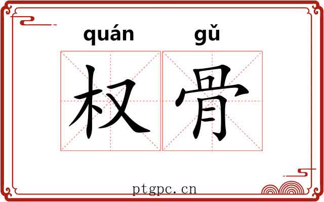 权骨 权骨