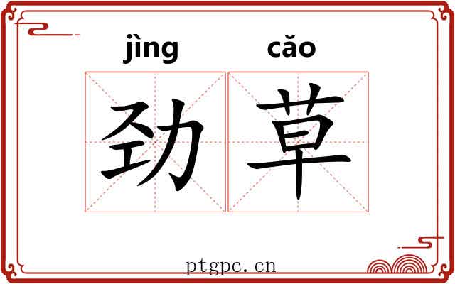 劲草 劲草
