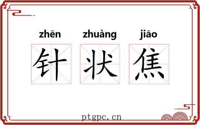 针状焦 针状焦