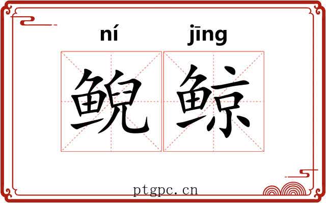鲵鲸