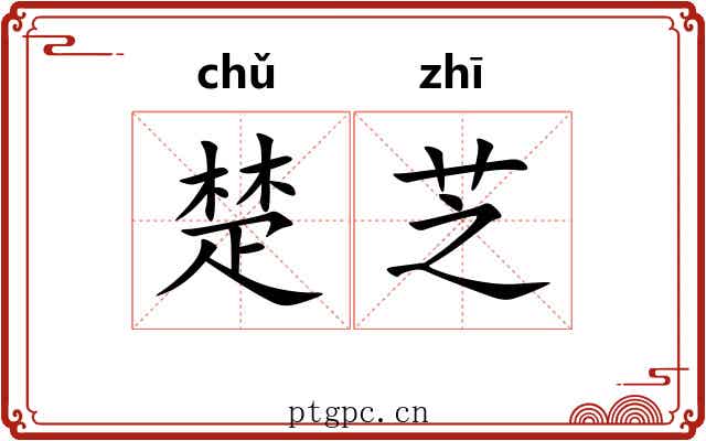 楚芝 楚芝