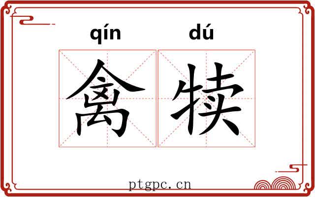 禽犊