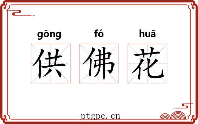 供佛花 供佛花