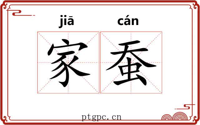 家蚕 家蚕