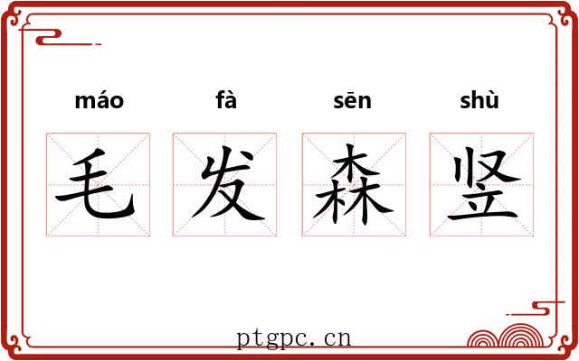 毛发森竖