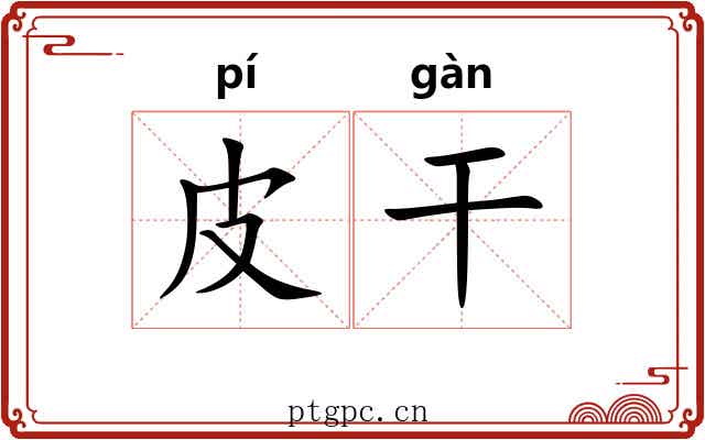 皮干 皮干