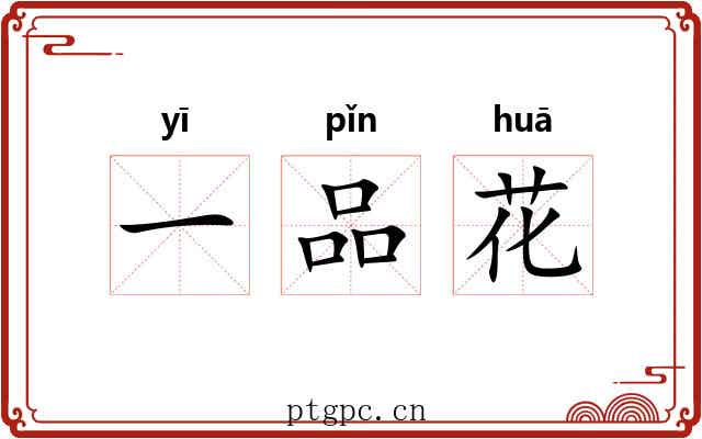 一品花 一品花