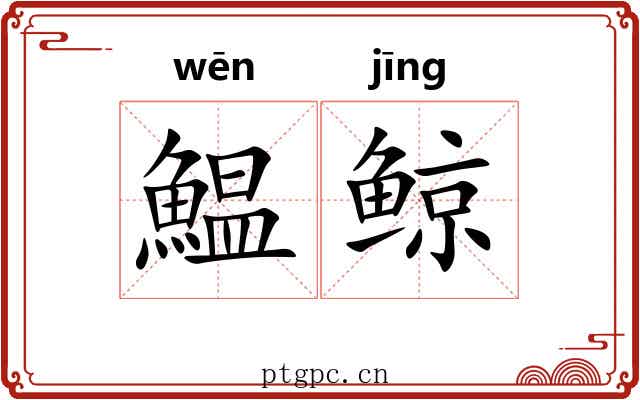 鰛鲸