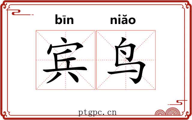 宾鸟
