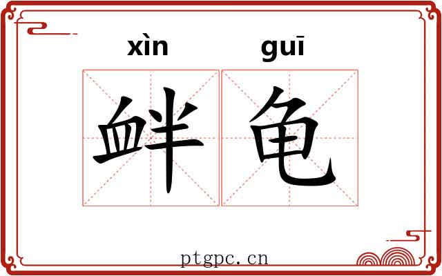 衅龟