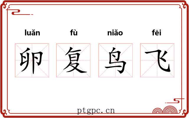 卵复鸟飞 卵复鸟飞