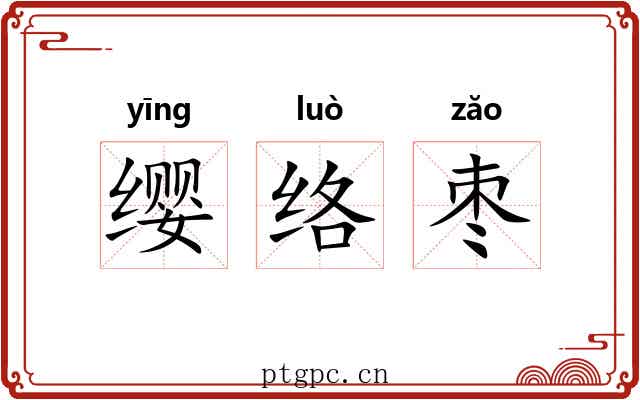 缨络枣 缨络枣