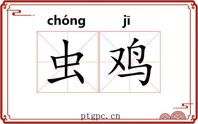 虫鸡