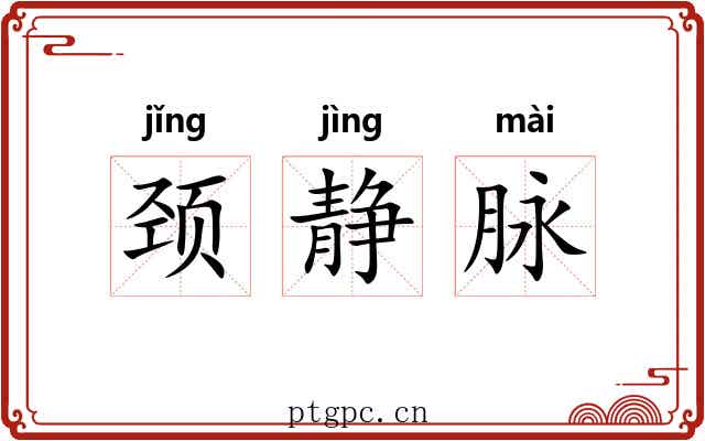 颈静脉 颈静脉