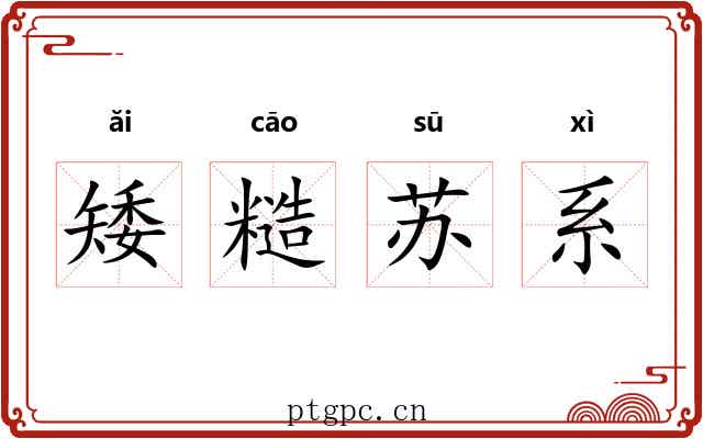 矮糙苏系 矮糙苏系