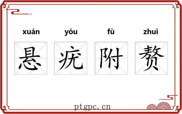 悬疣附赘 悬疣附赘
