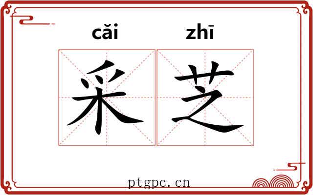 采芝
