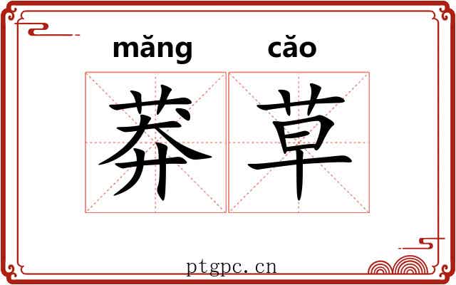 莽草 莽草