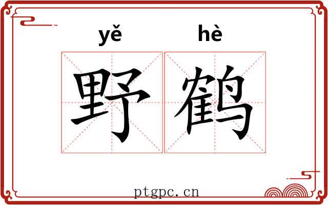 野鹤
