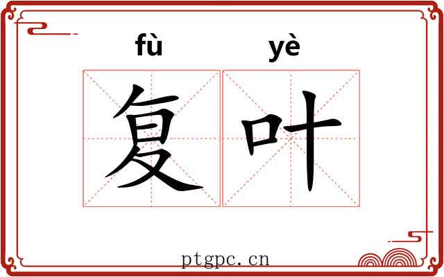 复叶 复叶