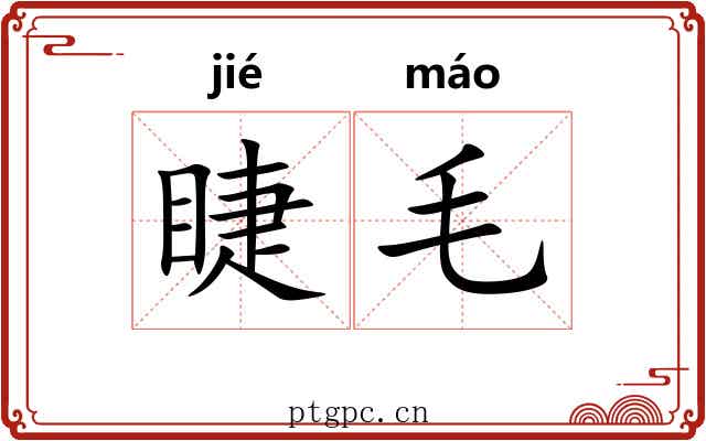 睫毛