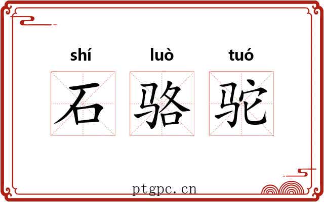 石骆驼 石骆驼