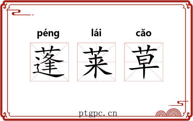 蓬莱草