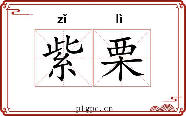 紫栗