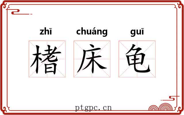 榰床龟