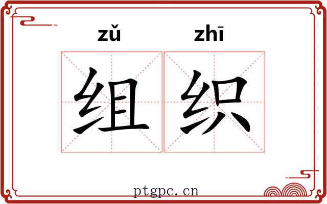 组织 组织