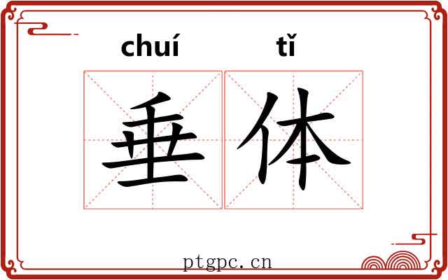 垂体 垂体