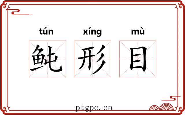 鲀形目