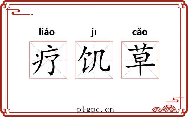 疗饥草 疗饥草