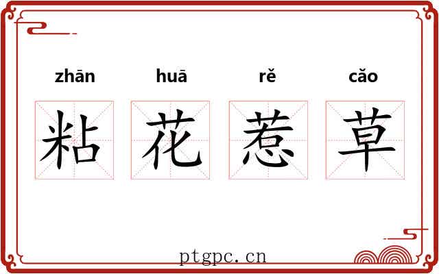 粘花惹草 粘花惹草
