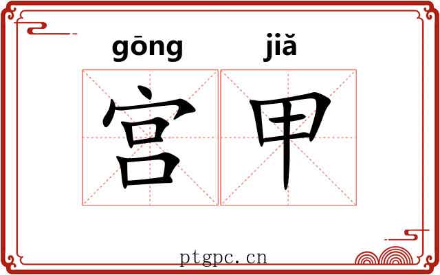 宫甲