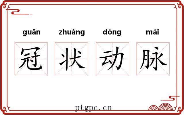 冠状动脉 冠状动脉