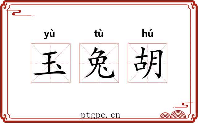 玉兔胡 玉兔胡