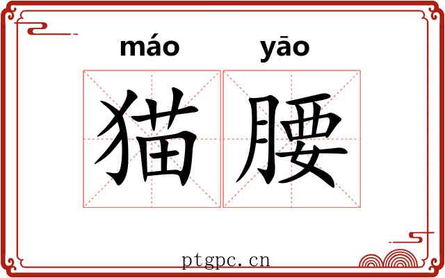 猫腰