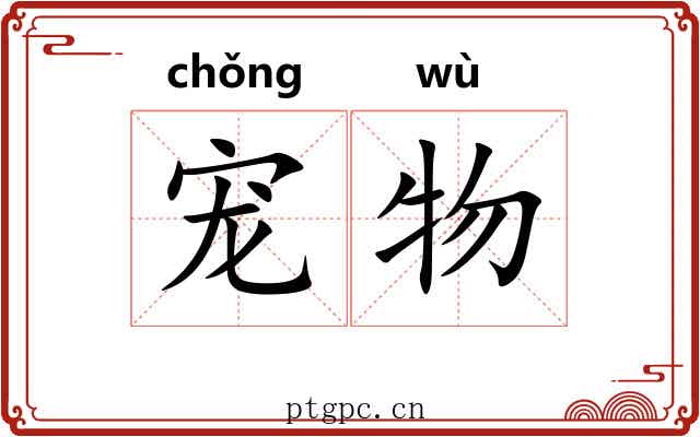 宠物