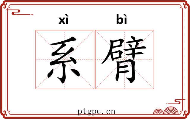 系臂