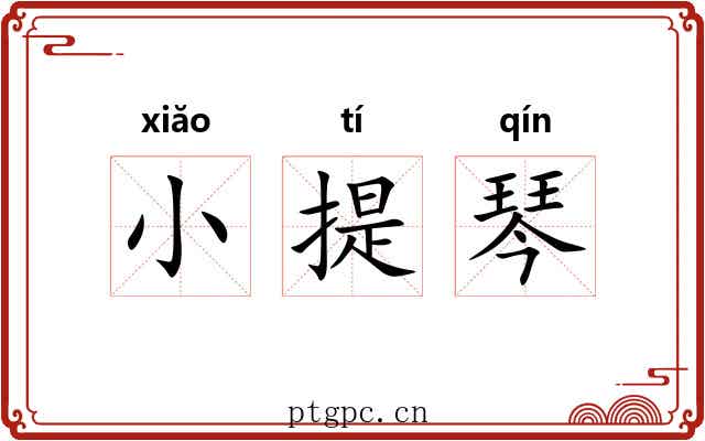 小提琴 小提琴