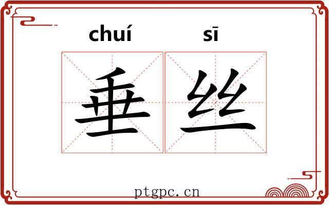 垂丝 垂丝