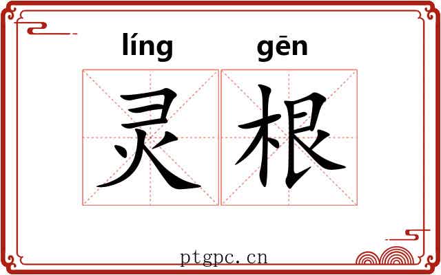 灵根 灵根