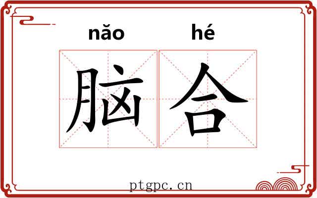 脑合 脑合