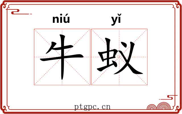 牛蚁